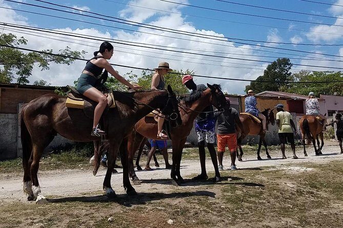 Private Horseback Riding from Ocho Rios with Guide - Who This Private Horseback Riding in Ocho Rios Suits Best