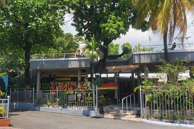 Private Kingston and Bob Marley Museum Tour from Ocho Rios - Ocho Rios to Kingston: the fern-lined drive that sets the mood