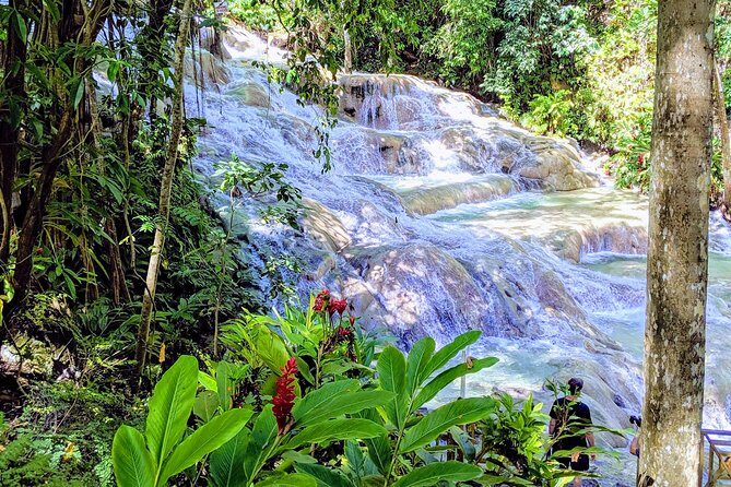 Private Ocho Rios highlight tour - Private Ocho Rios Highlights: What You Really Get in 4 Hours