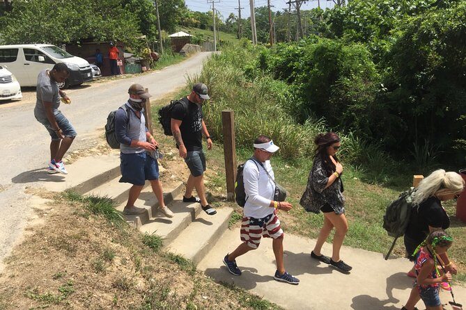 Private Ocho Rios Highlights Tour with Pickup - Key Highlights I’d Prioritize