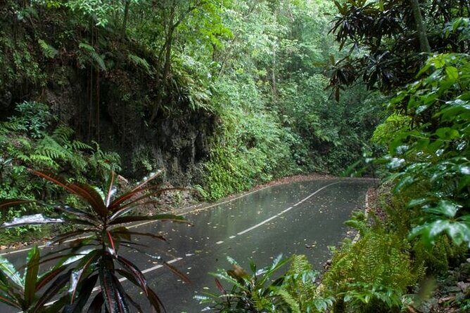 Private Sightseeing Tour in & Around Ocho Rios - Guides Who Make It Feel Like You Matter