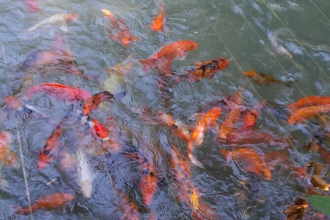 Private Tour From Ocho Rios To Konoko Falls And Garden and Shopping - Price and value: is $80 per person a fair deal?