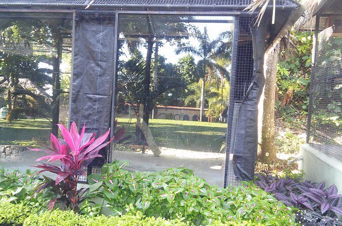 Private Tour From Ocho Rios To Konoko Falls And Garden and Shopping - Who this tour suits best