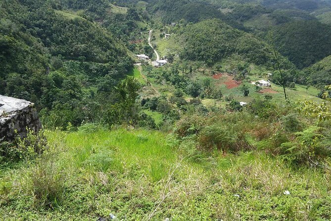 Private Tour Ocho Rios or Runaway Bay To 9 Mile Bob Marley Birth & Resting Place - Price and value: what $135 per person buys you