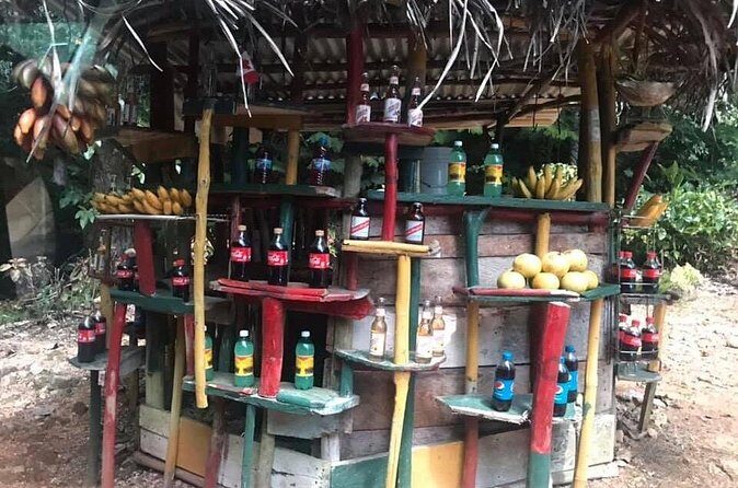 Private Tour of Bob Marley House from Ocho Rios - Should you book this private Bob Marley tour?