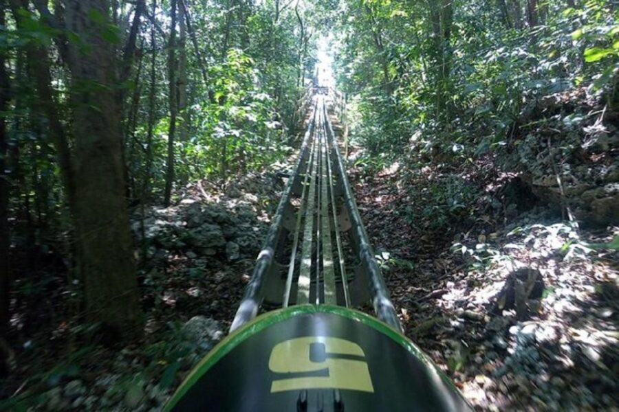 Rainforest Bobsled Mystic Mountain transportation - Price Reality Check: What $208 Covers (and What You Still Pay)