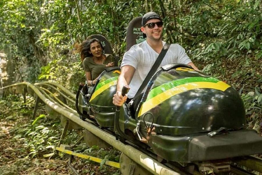 Rainforest Bobsled Mystic Mountain transportation - Comfort, Rules, and Who This Tour Fits Best