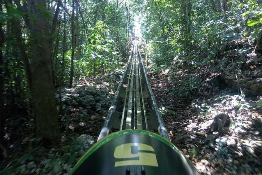 Rainforest Bobsled Mystic Mountain transportation - Should You Book This Rainforest Bobsled Transportation?