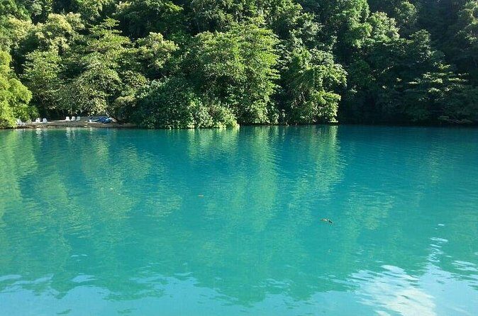 Tour to Fern Gully and Konoko Falls and Park - Mahoe Falls: Cooling Off and How to Stay Unruffled