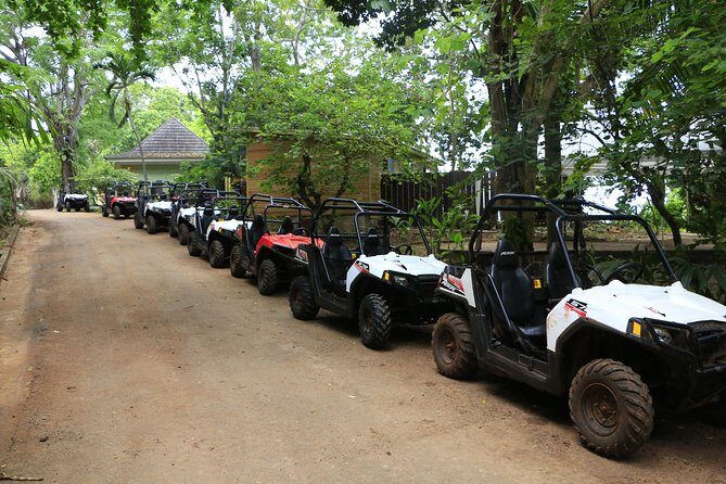 Wet n Dirty ATV Outback Adventure From Ocho Rios - Price and value: is $190 worth it for you?
